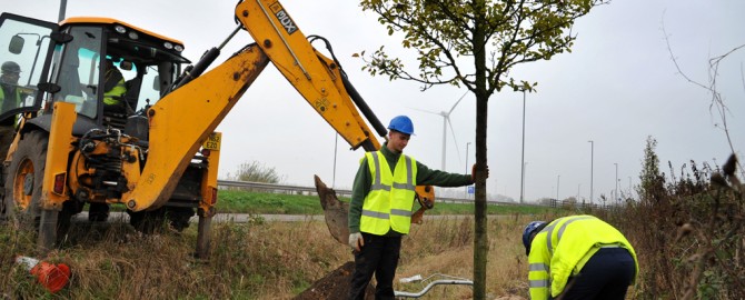 Apprentices planting 50,000 bulbs on the Leeds City Region Enterprise Zone